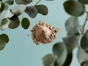 Cheap Rituals Body Mud