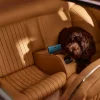 Fashion Rituals Car Air Freshener