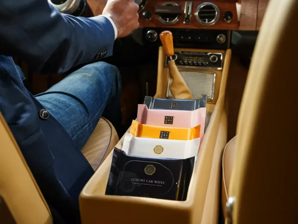 Best Rituals Car Wipes