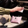 Cheap Rituals Car Wipes