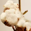 Online Rituals Cotton Blossom Refill Fragrance Sticks
