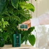 Flash Sale Rituals Hand Wash