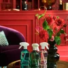 Best Sale Rituals Home Perfume
