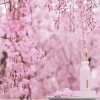 Discount Rituals Mini Fragrance Sticks