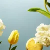 Clearance Rituals Refill Fragrance Sticks