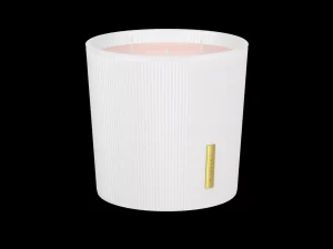 Cheap Rituals Scented Candle