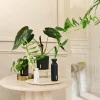 Outlet Rituals Scented Candle