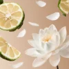 Cheap Rituals Travel - Eau De Parfum Soleil d'Or