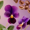Flash Sale Rituals Travel - Voyage d'Ombre